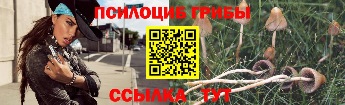 Галлюциногенные грибы GOLDEN TEACHER Кольчугино
