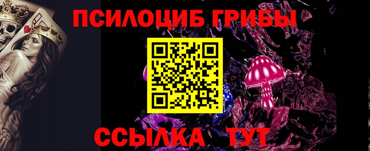 Кольчугино  что такое   Вход с VPN  Галлюциногенные грибы мухоморы 